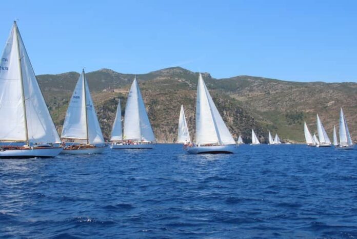 Vele d'epoca in regata a Capraia Foto Maccione