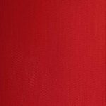 Daniela Forcella T.A.# 011