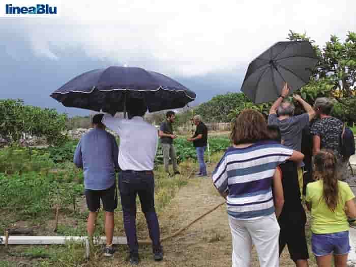 Linea Blu mange Ombrelli