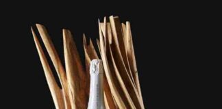 Mathusalem Comte de Montaigne per Fondazione Bocelli