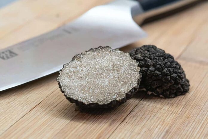 Tartufo nero Tartufo nero Banco Fresco
