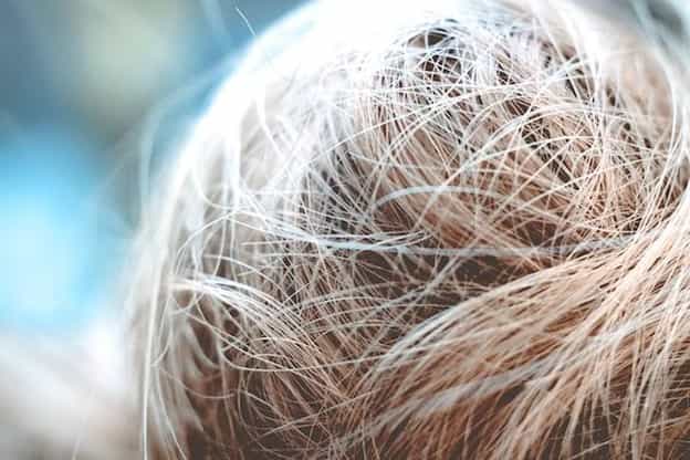 Capelli spazzole