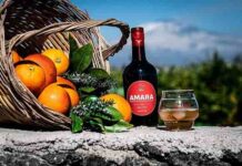 Contro il caro bolletta Amara punta all’autosufficienza energetica: AMARA AMARA