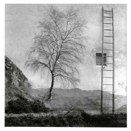 Marcello Vigoni p #1 2017