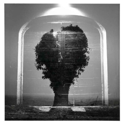 Marcello Vigoni p #14 2018