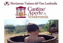 cantine aperte in vendemmia 2022
