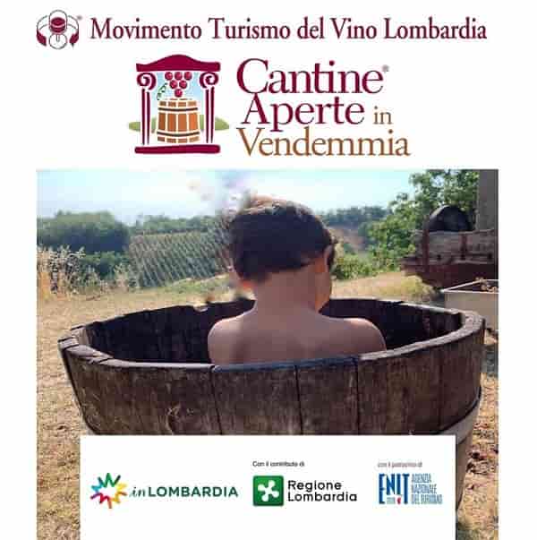 cantine aperte in vendemmia 2022 cantine aperte in vendemmia 2022