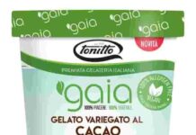 Tonitto 1939 il gelato Vegano migliore al mondo Gaia MockUp Cacao