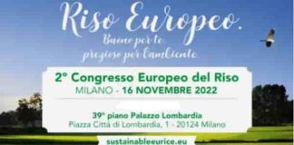 Llocandina 2 congresso Riso a Milano