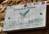 logo museo della manna