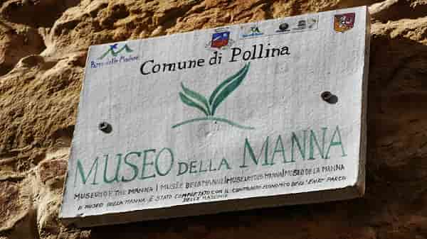 logo museo della manna logo museo della manna