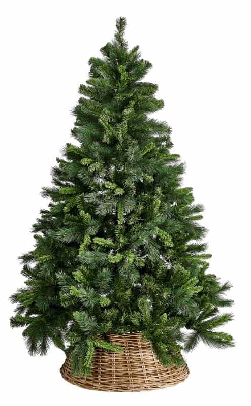Albero di Natale Albero di Natale