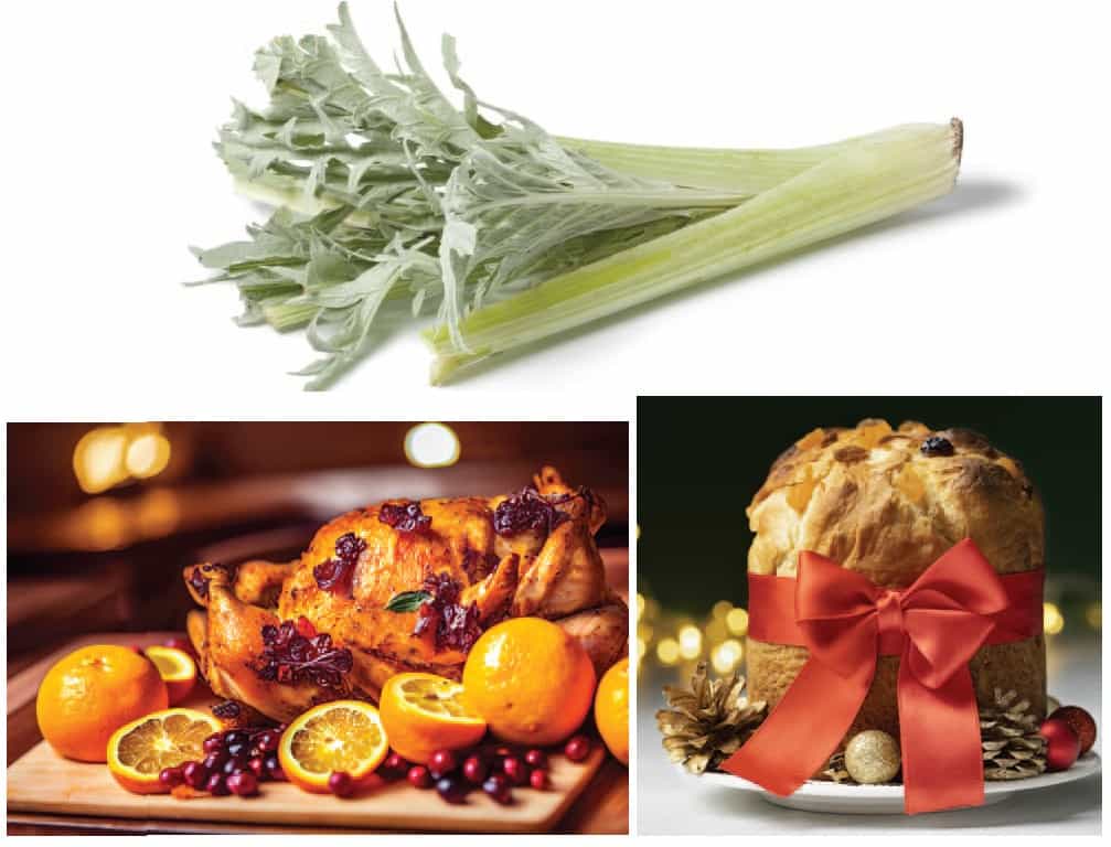 Godiamoci le feste estando in forma 2