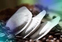 cialde caffè