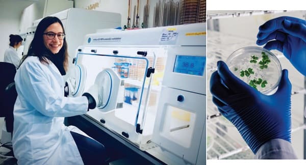 La ricercatrice Mireia Valles Colomer