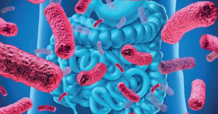 Microbi della salute