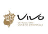 Vi.V.O. Cantine, 2022: anno straordinario VIVO CANTINE