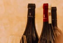 Vino in Campania: DOC Castel San Lorenzo e DOC Cilento Vino in Campania
