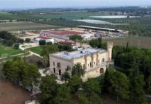Azienda Agricola Giancarlo Ceci, vera eccellenza Tenuta