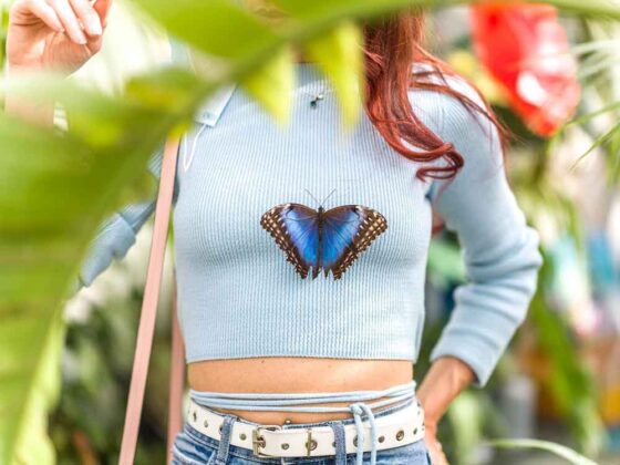 Casa delle Farfalle 5