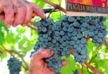 Uva Pugliese
