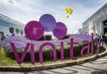 Vinitaly