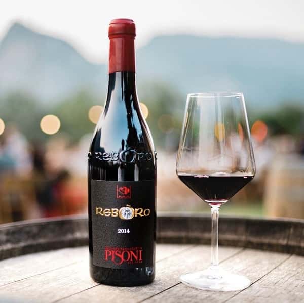 Reboro bottiglia con bicchiere Cantina Pisoni