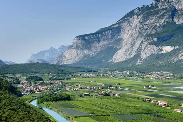 Territorio Cantina Pisoni bassa ris