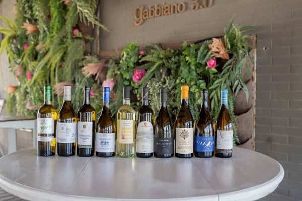 VERMENTINO GRAND PRIX 2023 ph credits Marco Marronifoto vgp 02 mod