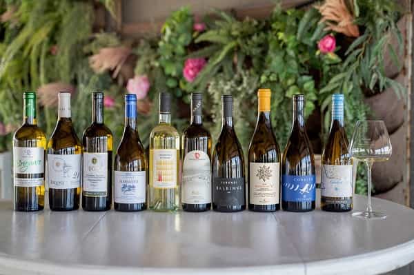 VERMENTINO GRAND PRIX 2023 ph credits Marco Marronifoto vgp 03 mod