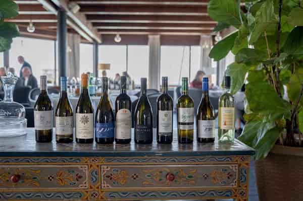 VERMENTINO GRAND PRIX 2023 ph credits Marco Marronifoto vgp