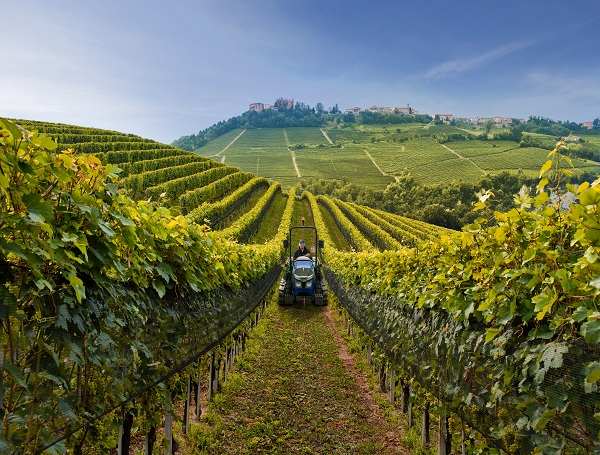 Vineyards,Rolling,Hills,Of,The,Langhe,,The,Best,Wines,Area