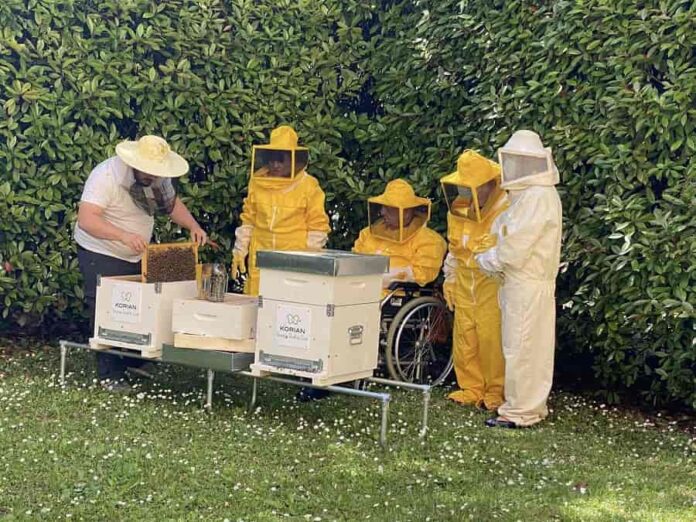 Foto Bee Korian Giornata mondiale della biodiversita