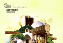 Graphic generic