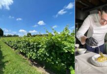 Relais La Casina Ricchi tra i vigneti con tradizione, innovazione e rispetto della natura relais la catina richhi vista sui vigneti, lo chef min