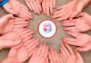 Associazione TOC TOC