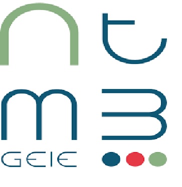 Tunnel Monte Bianco Logo
