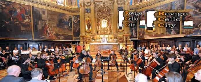 Cello City Cello City