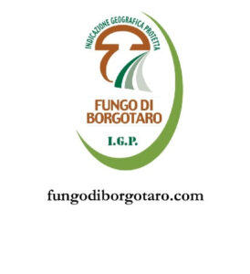 FUNGO DI BORGOTARO