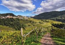 Paesaggio Verla di Giovo Archivio Fiemme Cembra Ph. L.Lona lr