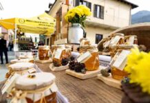 Chatillon. XX edizione della Sagra del Miele 2023 Miele