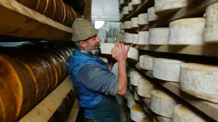 bezzi cantina gira forme