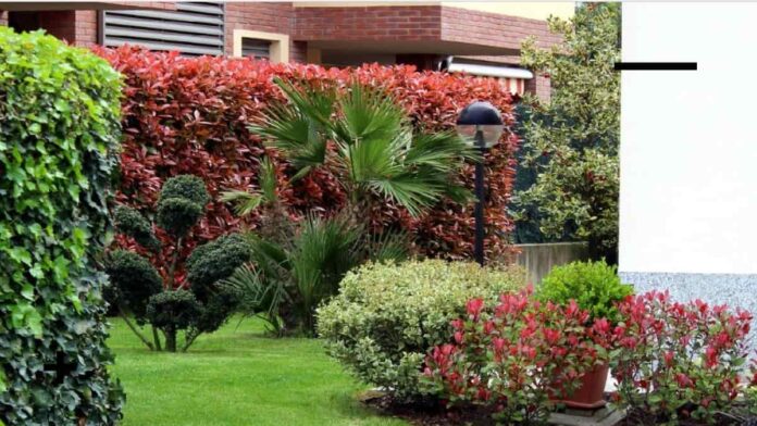 giardino Decespugliatori elettrici