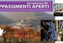 Serrapetrona. Appassimenti Aperti 2023, nel segno della Vernaccia Appassimenti Aperti Serrapetrona