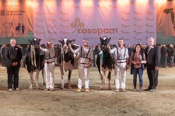 Cremona incorona la mucca più bella