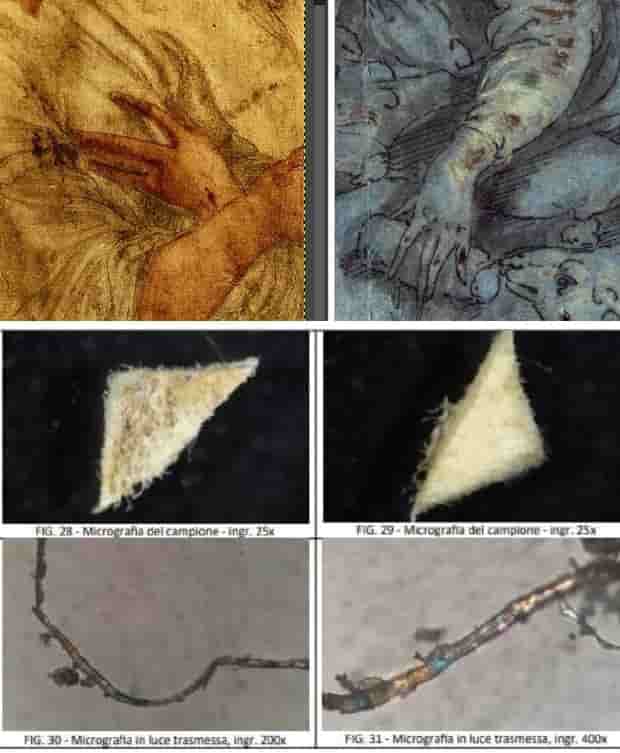 Foto comparativa mani e microscopiche