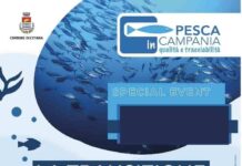 Cetara. Transizione ecologica “Pesca in Campania” La Transizione