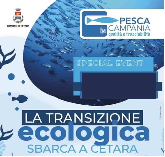 La Transizione La Transizione