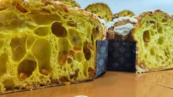 colomba