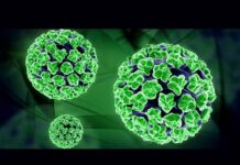 HPV DAY e appello IEO